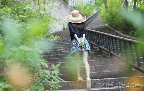 晚安心语：美从来不少，只要去寻找 (4)